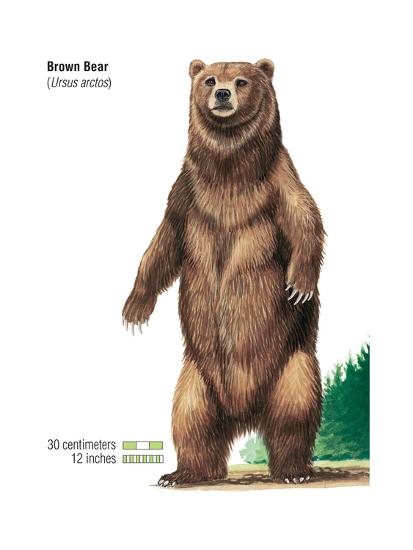 Poster, , large