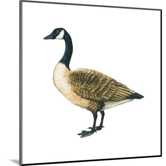 Poster, , large