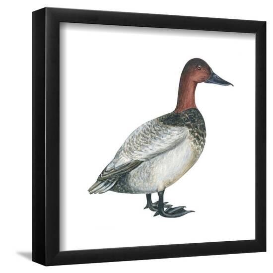 Poster, , large