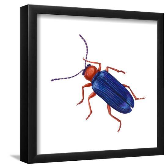 Poster, , large