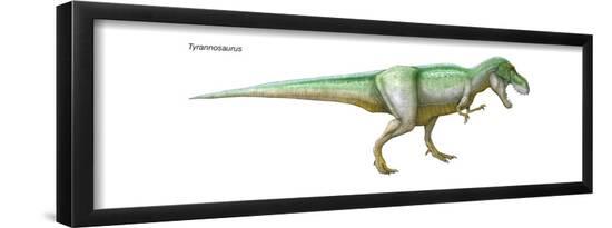 Poster, , large