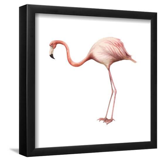 Poster, , large