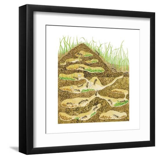Art Print, , large