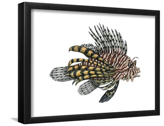 Poster, , large