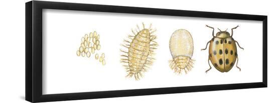 Poster, , large