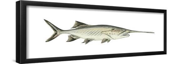 Poster, , large