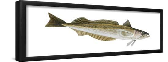 Poster, , large