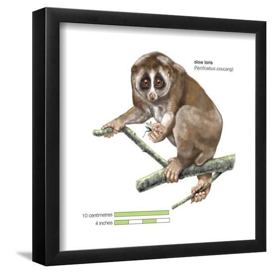 Poster, , large