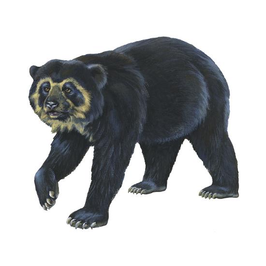 Poster, , large
