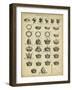 Encyclopediae IV-Chambers-Framed Art Print