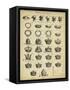 Encyclopediae IV-Chambers-Framed Stretched Canvas