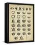 Encyclopediae IV-Chambers-Framed Stretched Canvas