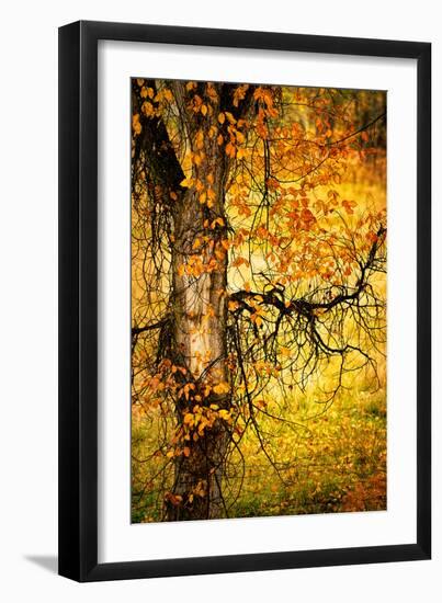 End of Autumn-Ursula Abresch-Framed Photographic Print