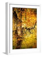 End of Autumn-Ursula Abresch-Framed Photographic Print