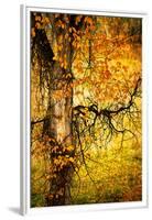 End of Autumn-Ursula Abresch-Framed Premium Photographic Print