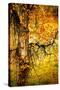 End of Autumn-Ursula Abresch-Stretched Canvas