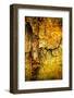 End of Autumn-Ursula Abresch-Framed Photographic Print