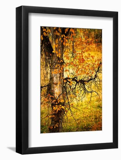 End of Autumn-Ursula Abresch-Framed Photographic Print