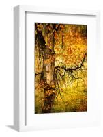End of Autumn-Ursula Abresch-Framed Photographic Print