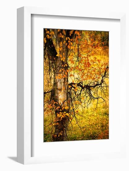 End of Autumn-Ursula Abresch-Framed Photographic Print