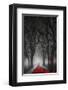 End of Birthday-null-Framed Art Print