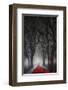 End of Birthday-null-Framed Art Print