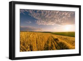 End of Day over Field with Straw-Taras Lesiv-Framed Photographic Print