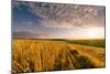 End of Day over Field with Straw-Taras Lesiv-Mounted Photographic Print