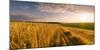 End of Day over Field with Straw-Taras Lesiv-Mounted Photographic Print