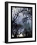 End Of Day Winter Trees-Tim Nyberg-Framed Giclee Print