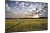 End of Day-Giuseppe Torre-Mounted Photographic Print