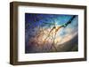 End of Fall-Ursula Abresch-Framed Photographic Print