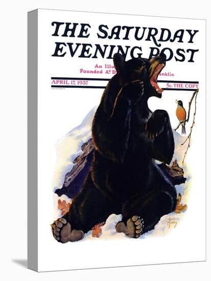 "End of Hibernation," Saturday Evening Post Cover, April 17, 1937-Jack Murray-Stretched Canvas