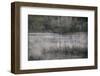 End of Season-Valda Bailey-Framed Photographic Print