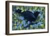 End of Season-Durwood Coffey-Framed Giclee Print