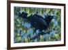 End of Season-Durwood Coffey-Framed Giclee Print