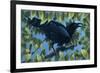 End of Season-Durwood Coffey-Framed Giclee Print