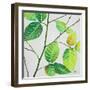 End of Summer I-Patricia Pinto-Framed Art Print