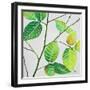 End of Summer I-Patricia Pinto-Framed Art Print