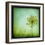 End of Summer-Irene Suchocki-Framed Giclee Print