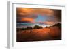 End of Summer-Philippe Sainte-Laudy-Framed Photographic Print