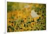 End of Summer-Delphine Devos-Framed Photographic Print