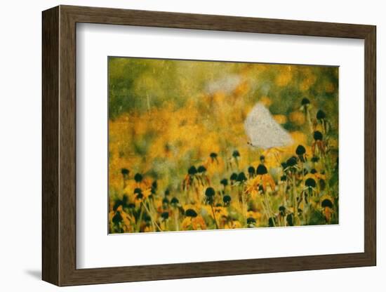 End of Summer-Delphine Devos-Framed Photographic Print