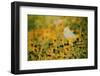 End of Summer-Delphine Devos-Framed Photographic Print