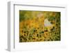 End of Summer-Delphine Devos-Framed Photographic Print