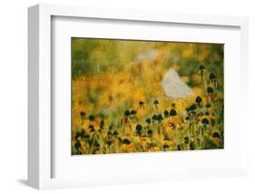 End of Summer-Delphine Devos-Framed Photographic Print