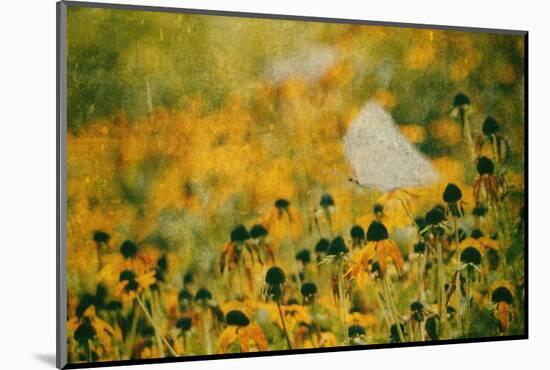 End of Summer-Delphine Devos-Mounted Photographic Print