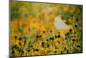 End of Summer-Delphine Devos-Mounted Photographic Print