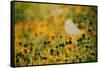 End of Summer-Delphine Devos-Framed Stretched Canvas