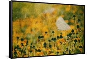 End of Summer-Delphine Devos-Framed Stretched Canvas